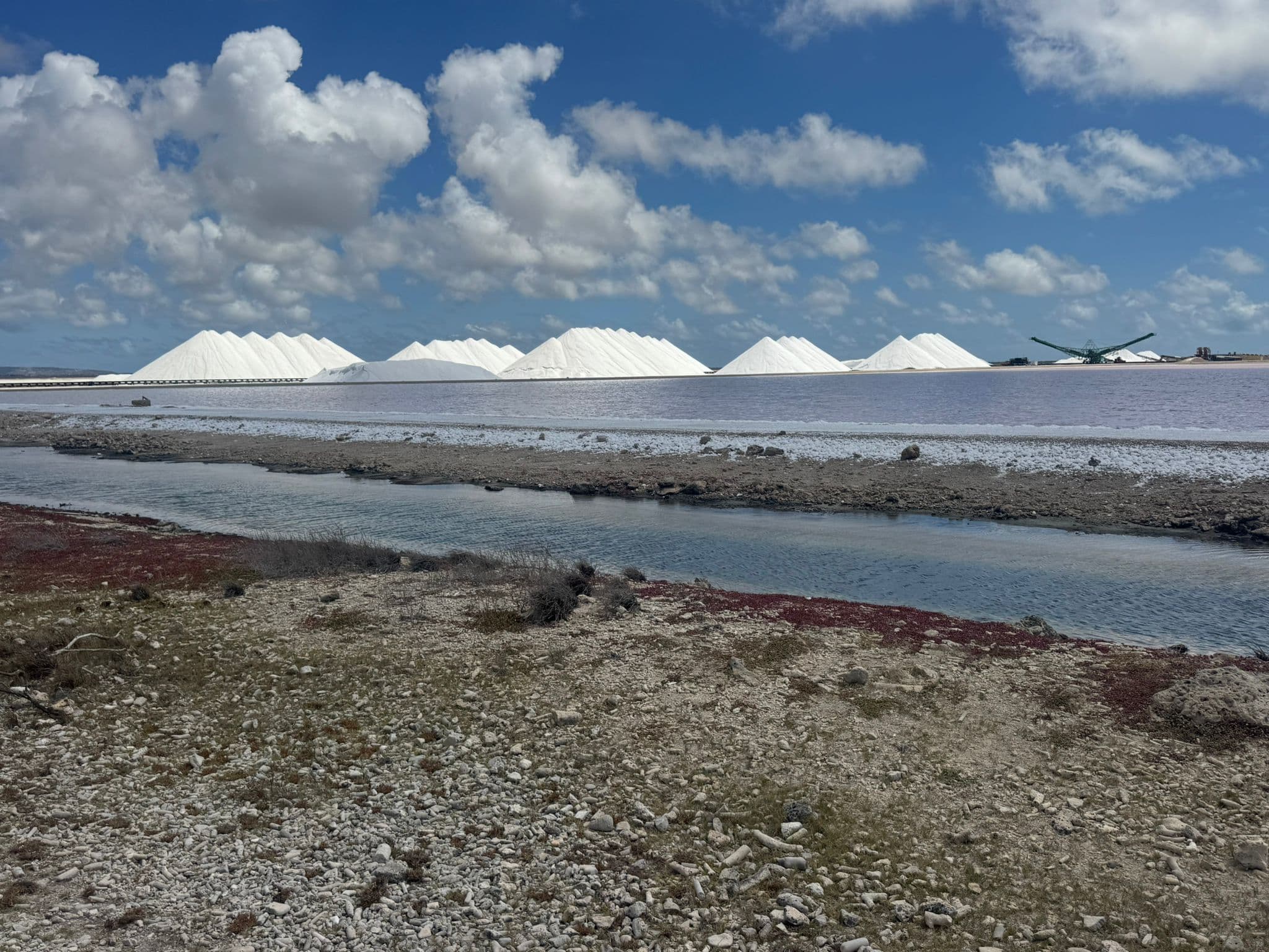 Salt company coastline in Bonaire