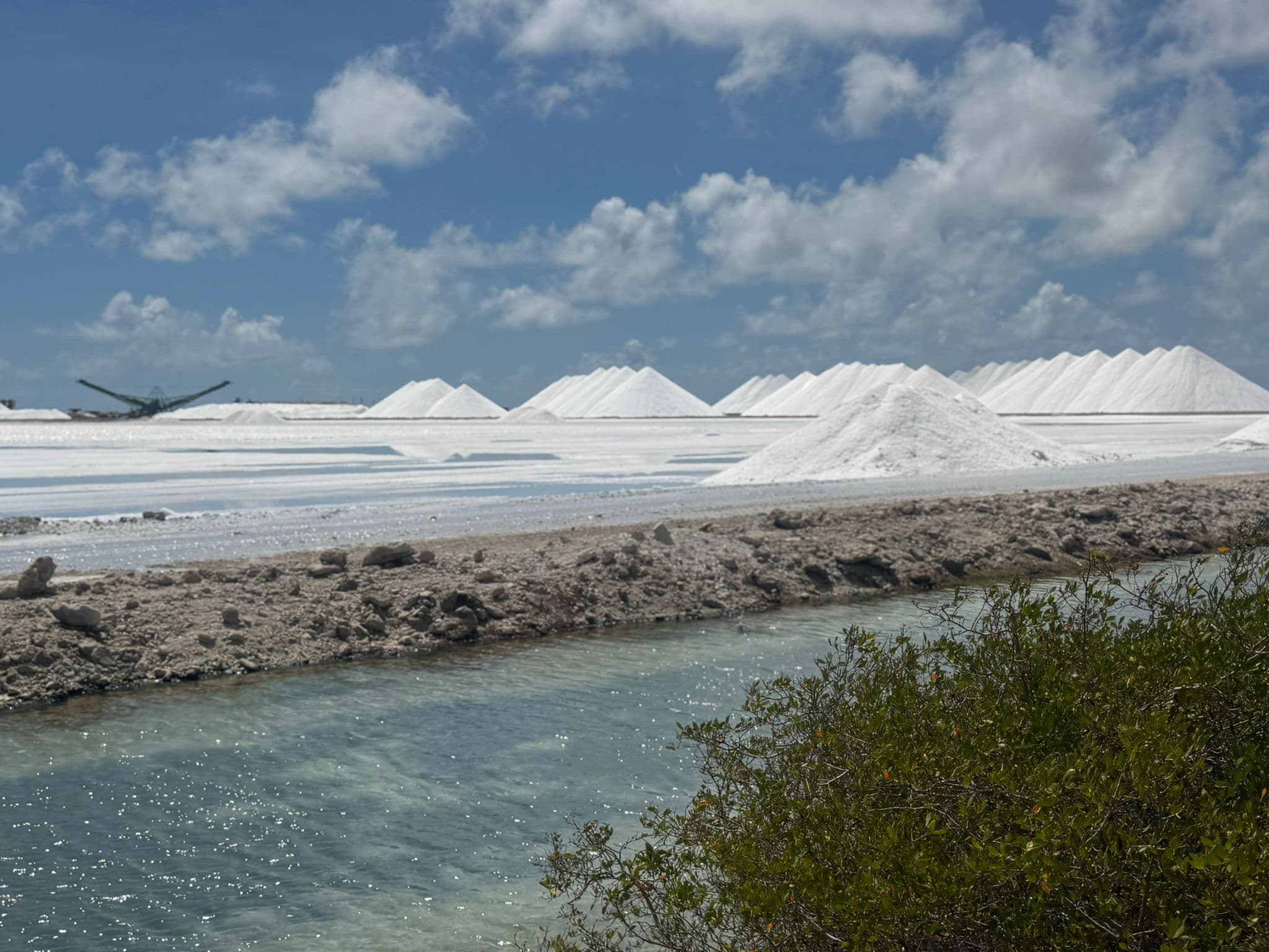 Salt company shoreline in Bonaire